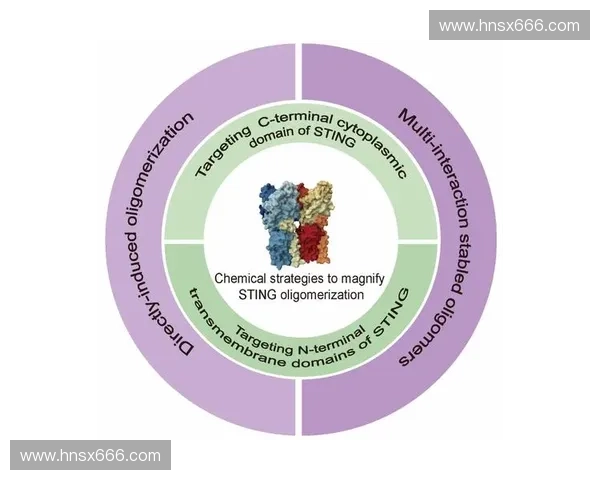 基于投球策略提升投手比赛表现的系统化战术研究框架优化方案探讨
